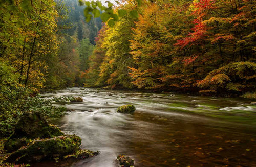 Jual Poster Rivers Forests Germany 1Z