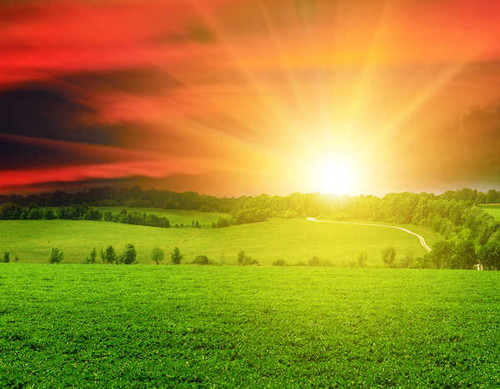 Jual Poster Scenery Sunrises and sunsets Fields Sky Grass Sun 1Z
