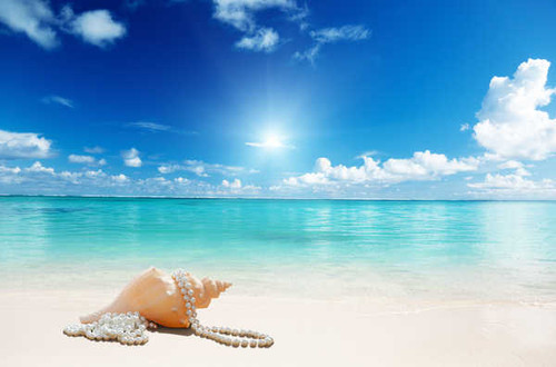 Jual Poster Sea Shells Pearl Sky 1Z