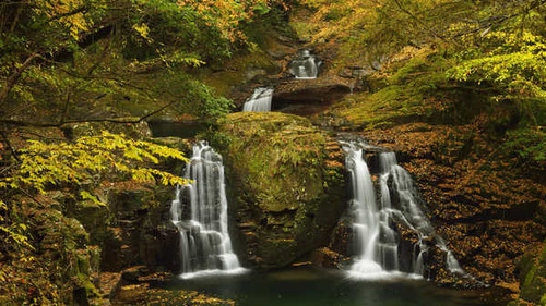 Jual Poster Seasons Autumn Waterfalls Foliage Moss 1Z