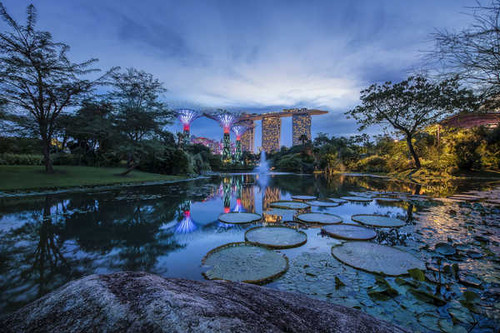 Jual Poster Singapore Evening Parks Pond Gardens by the Bay 1Z