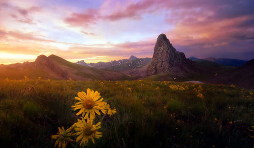 Jual Poster Sunrises and sunsets 1Z 027