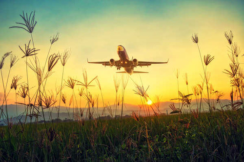 Jual Poster Sunrises and sunsets Passenger Airplanes Grass 1Z