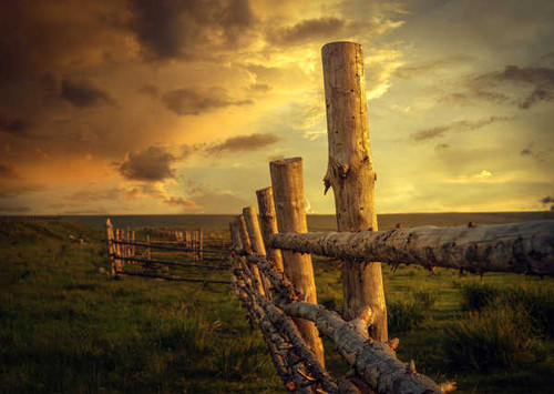 Jual Poster Sunrises and sunsets Sky Grass Fence Wooden 1Z