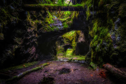 Jual Poster Sweden PersbergCrag Moss 1Z Jual Poster Sweden PersbergCrag Moss 1Z