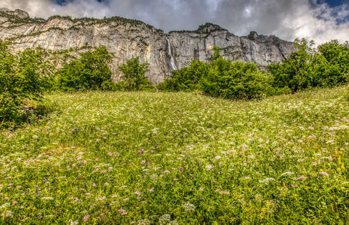 Jual Poster Switzerland Mountains Waterfalls Alps Grass Shrubs 1Z