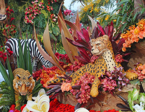 Jual Poster Tigers Orchid Roses Pasadena Design 1Z