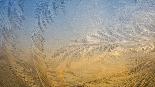 Jual Poster Tracery Winter Glass 1Z