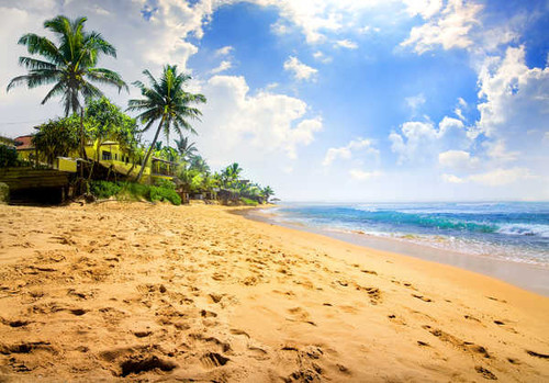 Jual Poster Tropics Coast Sky Sea Palma Sand Clouds Beach 1Z