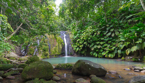 Jual Poster Tropics Waterfalls Stones Guadeloupe Sainte Rose 1Z