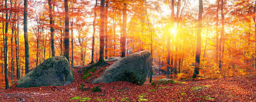 Jual Poster Ukraine Autumn Forests Stones Zakarpattia Rays of 1Z