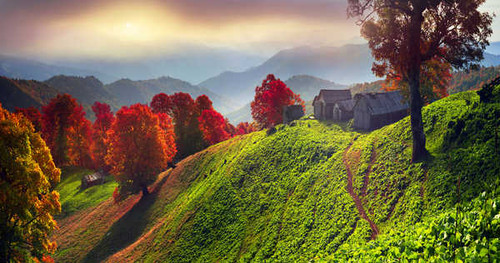 Jual Poster Ukraine Houses Autumn Scenery Zakarpattia Hill 1Z
