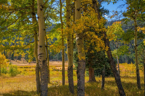 Jual Poster USA Parks Autumn Rocky Mountain National Park 1Z 002