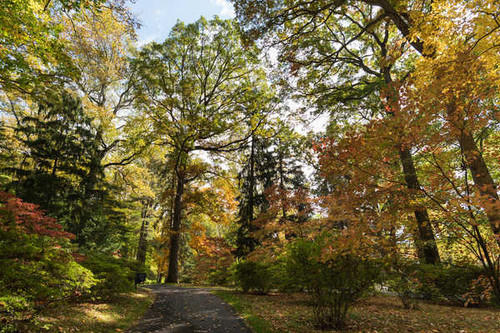 Jual Poster USA Parks Autumn Winterthur Delaware Trees Shrubs 1Z