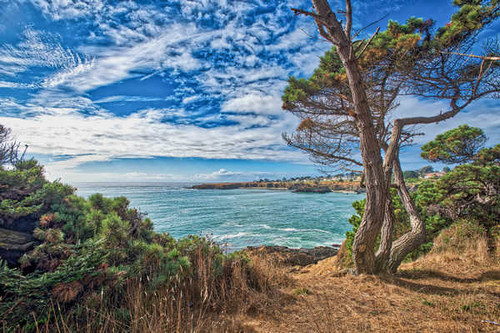 Jual Poster USA Sky Coast California Clouds Bay Trunk tree 1Z