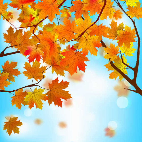 Jual Poster Vector Graphics Autumn 1Z