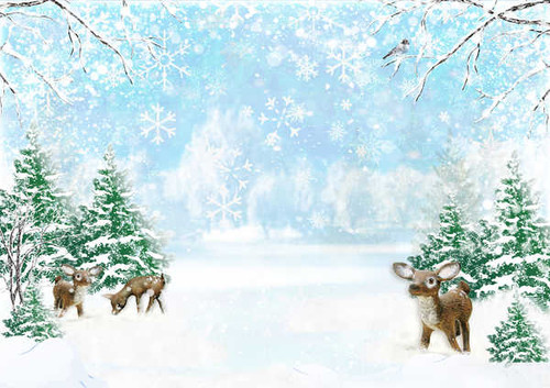Jual Poster Winter Deer Cubs Snow Spruce 1Z