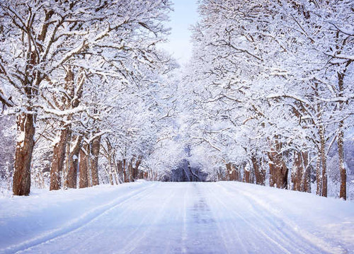 Jual Poster Winter Roads Trees Snow 1Z