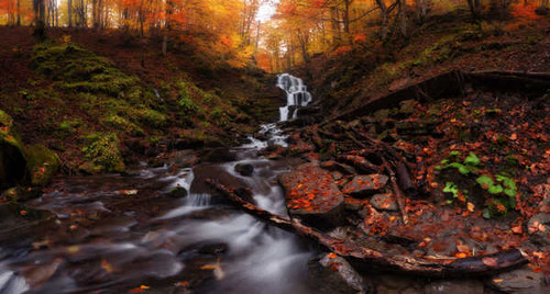 Jual Poster autumn forest waterfall autumn leaves 4k 8k WPS