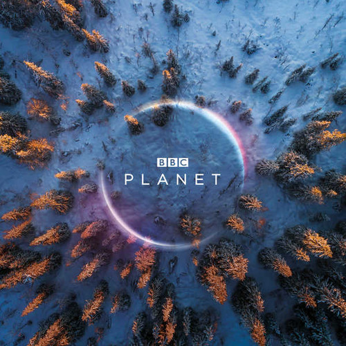 Jual Poster bbc planet forest winter aerial view 4k WPS