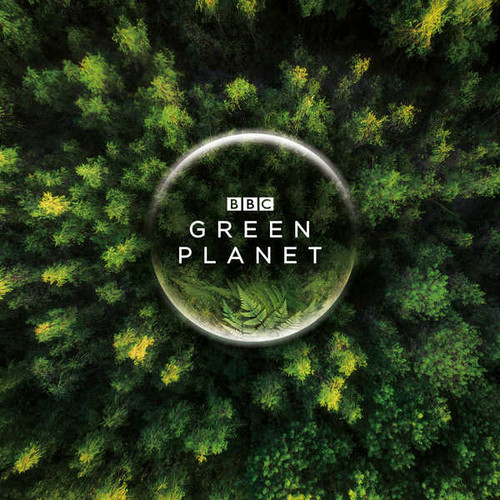 Jual Poster bbc planet green planet forest aerial view 4k WPS