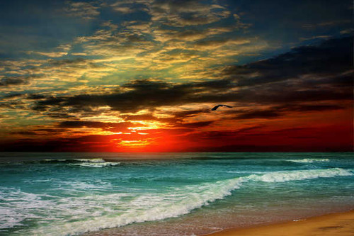 Jual Poster beach sunset clouds 4k WPS