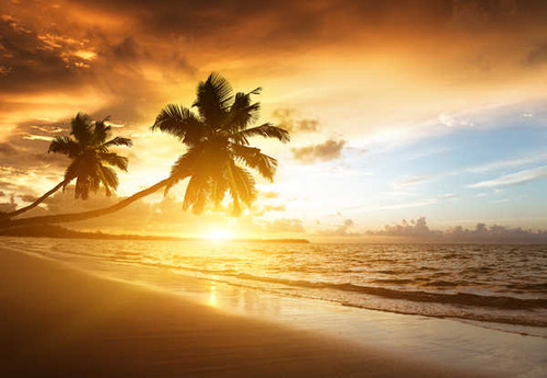 Jual Poster caribbean sea beach sunset palm trees hd 5k WPS