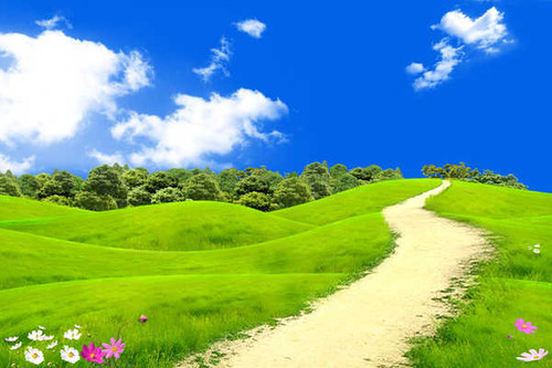 Jual Poster green landscape blue sky hd WPS