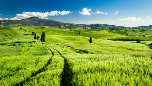 Jual Poster landscape tuscany italy hd WPS 001