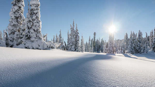 Jual Poster strathcona provincial park mount washington winter pine WPS