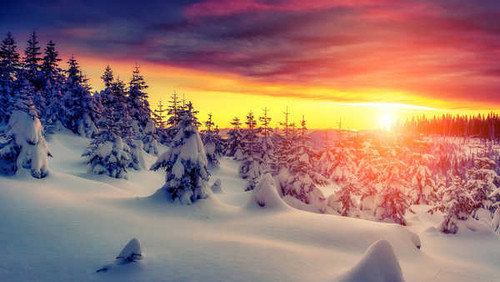 Jual Poster winter forest sunset 4k WPS