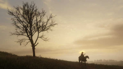 Jual Poster Arthur Morgan Red Dead Red Dead Redemption 2 948684APC