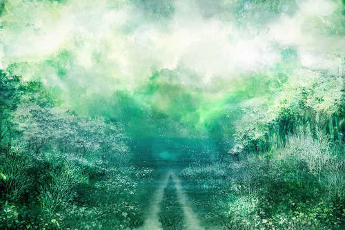 Poster Path Shrub Tree Anime Landscape APC