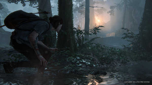 Jual Poster Ellie (The Last of Us) Video Game The Last of Us Part II 927190APC