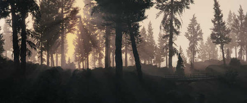 Jual Poster Forest Grand Theft Auto V Sun Grand Theft Auto Grand Theft Auto V 854084APC