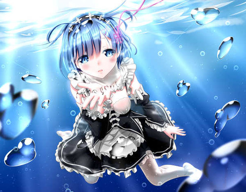 Poster Rem (ReZERO) Anime ReZERO Starting Life in Another World APC048