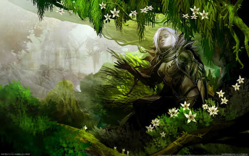 Jual Poster guild wars 2 23 GWP1336