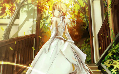 Poster Saber (Fate Series) Fate Series Fate Stay Night APC006A