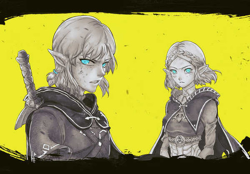 Jual Poster Link Zelda Zelda The Legend of Zelda Breath of the Wild 1022213APC