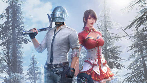 Jual Poster Playerunknown's Battlegrounds Video Game PlayerUnknown's Battlegrounds 1059614APC