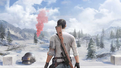 Jual Poster Playerunknown's Battlegrounds Video Game PlayerUnknown's Battlegrounds 1062694APC