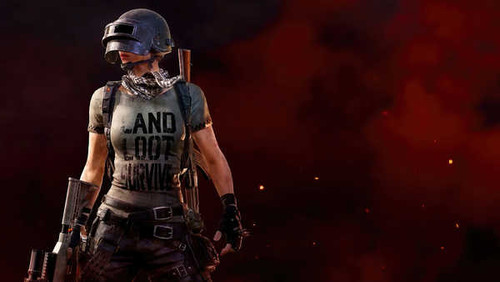 Jual Poster Playerunknown's Battlegrounds Video Game PlayerUnknown's Battlegrounds 1077000APC