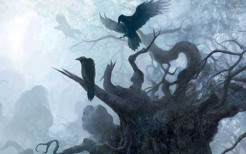 Jual Poster Raven The Witcher The Witcher The Witcher 499662APC