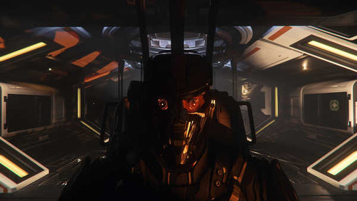 Jual Poster Star Citizen Video Game Star Citizen 1067391APC