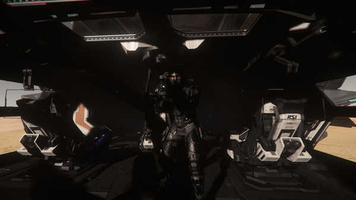 Jual Poster Star Citizen Video Game Star Citizen 1067405APC