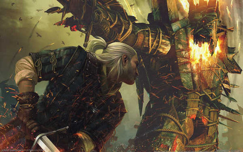 Jual Poster the witcher 2 assassins of kings 05 GWP2867