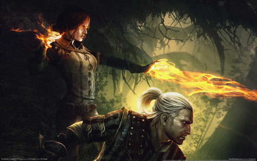 Jual Poster the witcher 2 assassins of kings 08 GWP2870