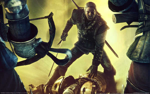 Jual Poster The Witcher The Witcher 2 Assassins Of Kings 232214APC