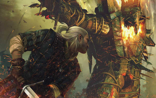 Jual Poster The Witcher The Witcher 2 Assassins Of Kings 319588APC