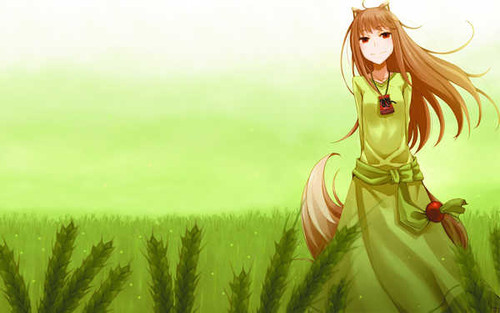 Poster Spice and Wolf Anime Spice and Wolf APC